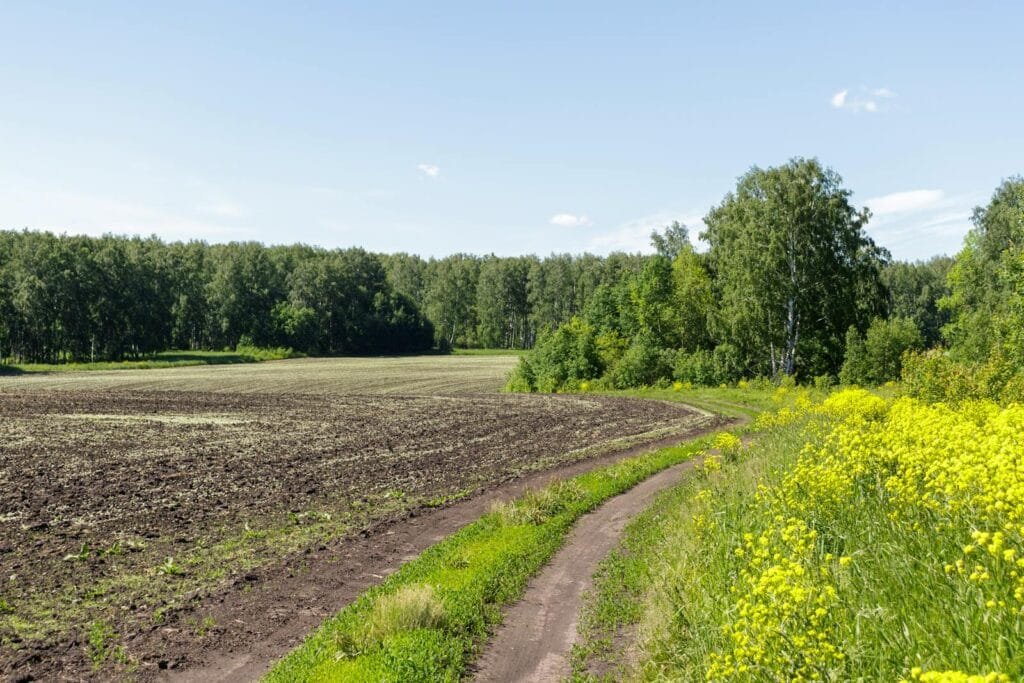 Your Path to Homeownership 3