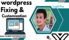 Expert No1 WordPress site Customization
