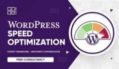 WordPress Speed 100% Pro Google PSI Ready