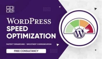 WordPress Speed 100% Pro Google PSI Ready