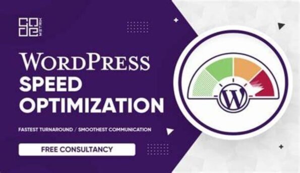 WordPress Speed 100% Pro Google PSI Ready