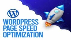 Fast100% WordPress Page Speed Optimization