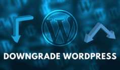NO1 WordPress Downgrade, Upgrade & Login Fix fiverrclerks