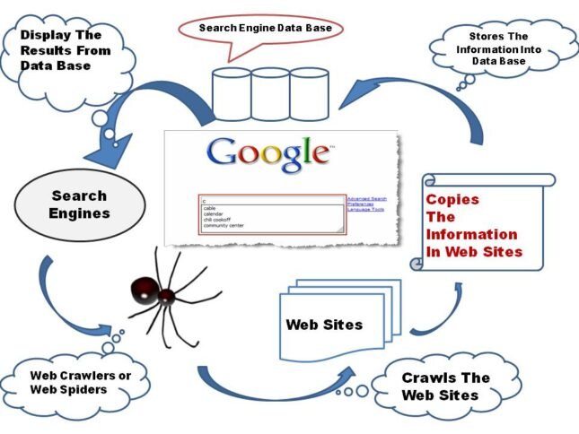 How search engines work